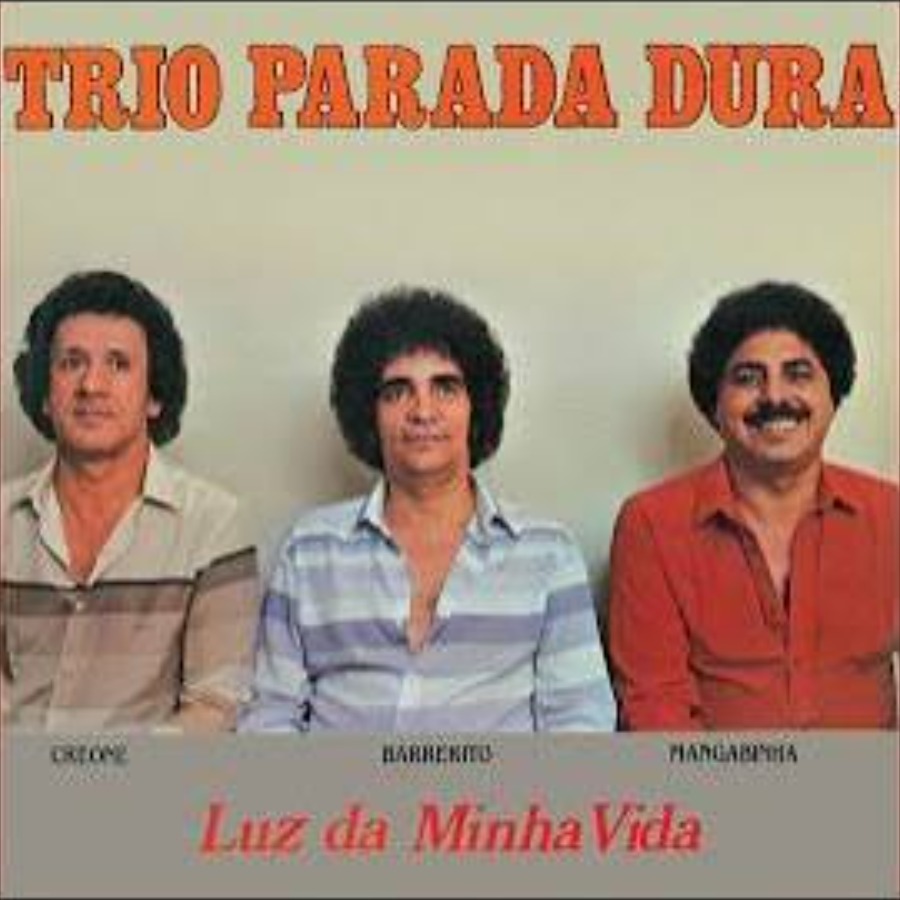 Luz Da Minha Vida — Trio Parada Dura