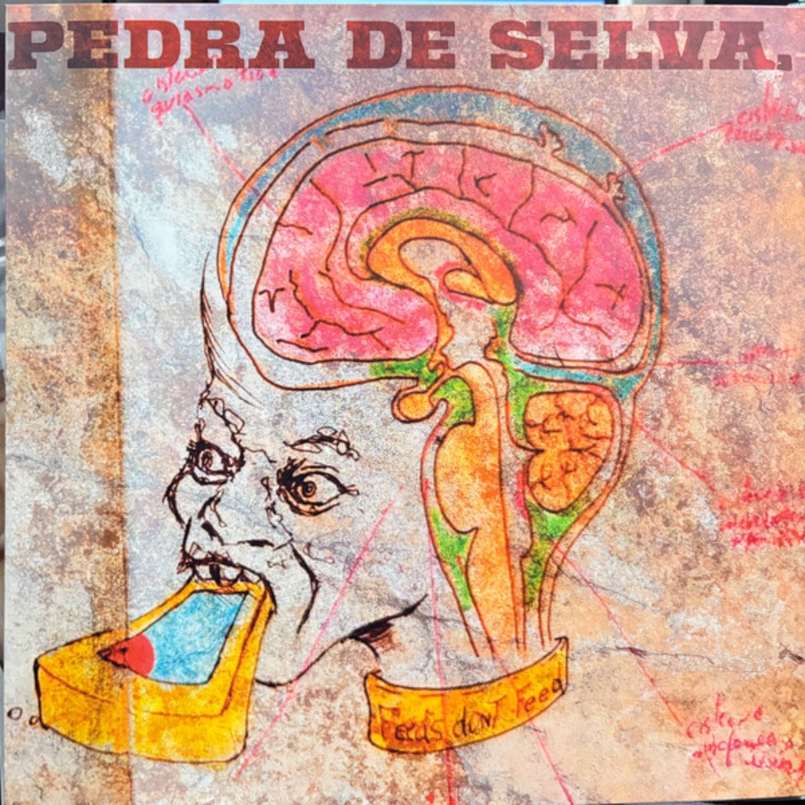 Pedra De Selva — Curumin