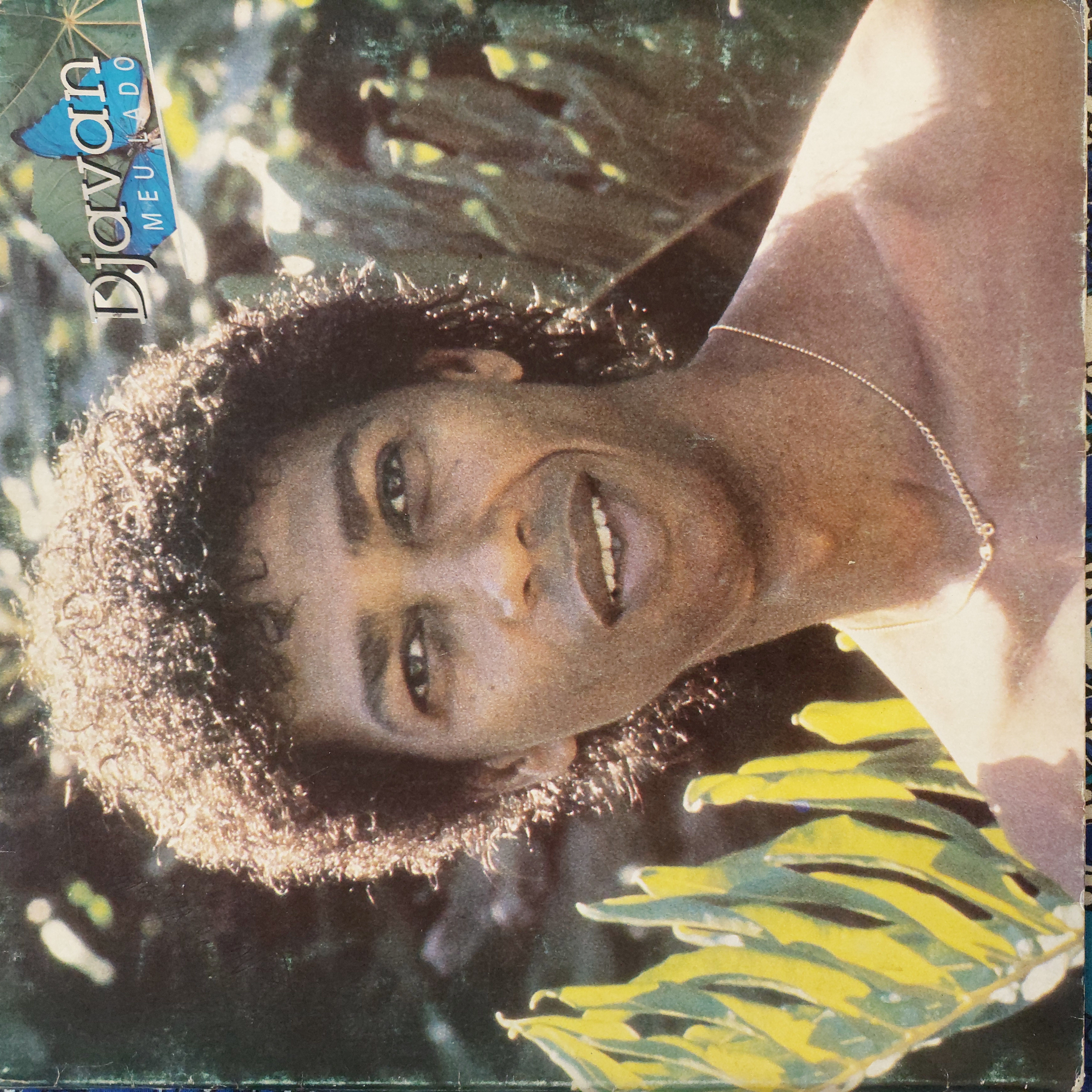 Meu Lado — Djavan