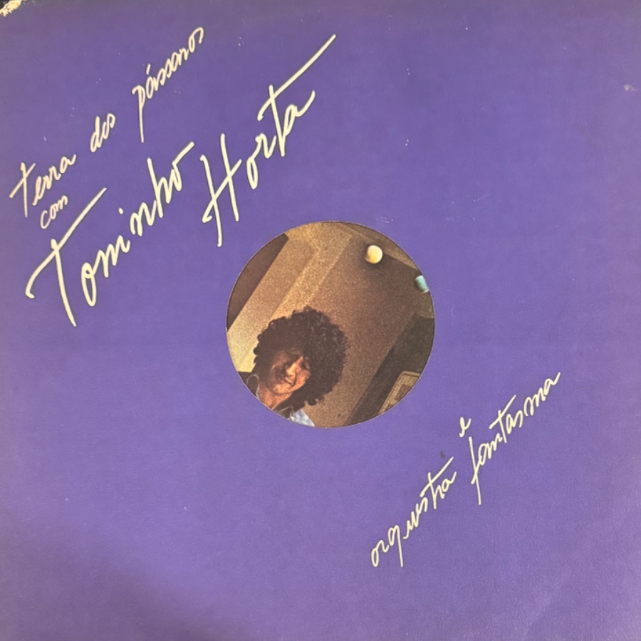 Terra Dos Pássaros — Toninho Horta Com E Orquestra Fantasma