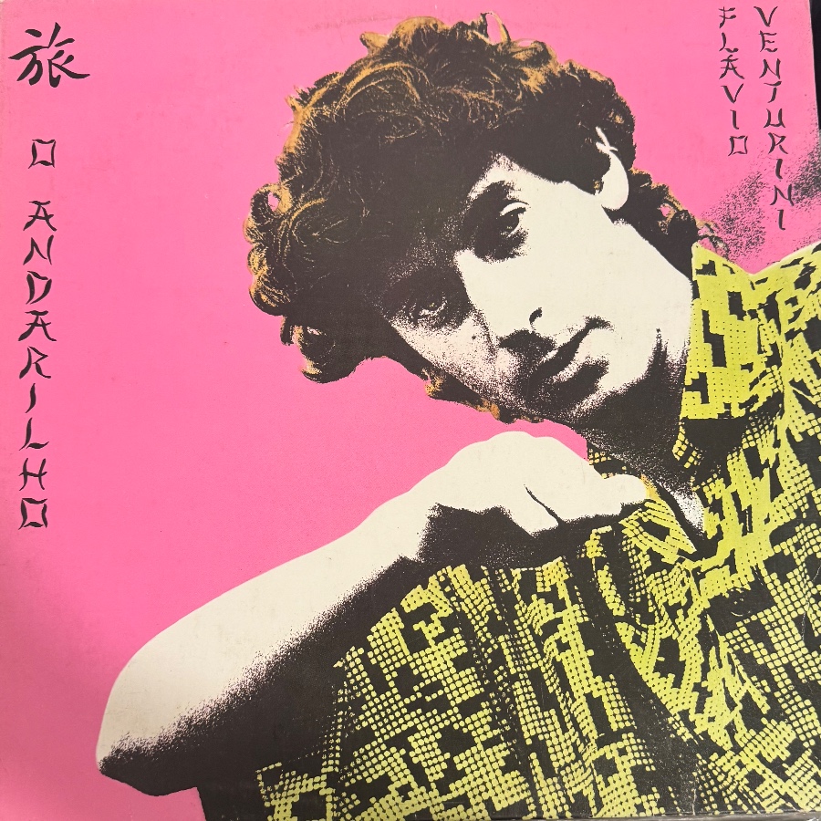 O Andarilho — Flávio Venturini